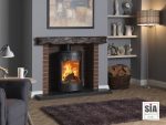 Purevision PVR cylinder multi fuel stove in Inglenook